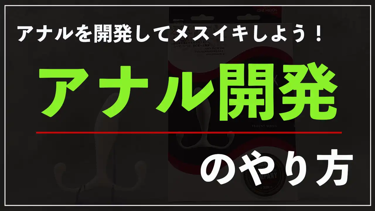 TaRiss's インフレート式アナルプラグ アナル拡張 アナル開発 最大9cmに膨らめる