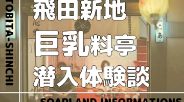 2024年】飛田新地のソープランド2店を全150店舗から厳選！【NN/NS情報】 | Trip-Partner[トリップパートナー]