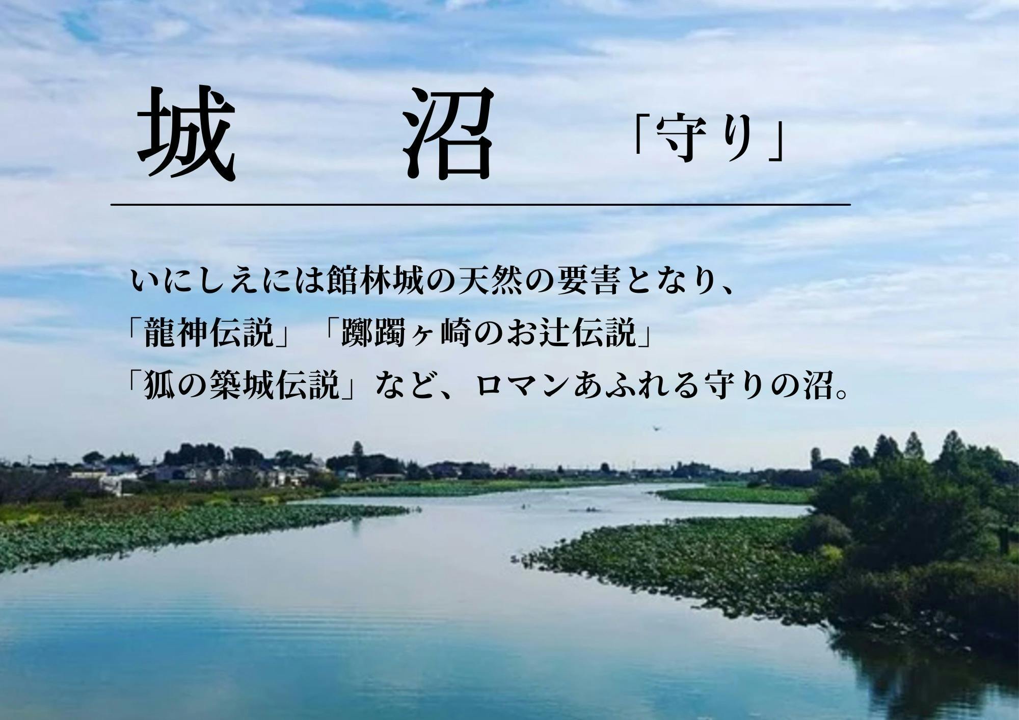 歌曲「里沼の記憶」のプロモーションビデオ制作〜館林の「里沼」の魅力を広めたい〜 - CAMPFIRE (キャンプファイヤー)