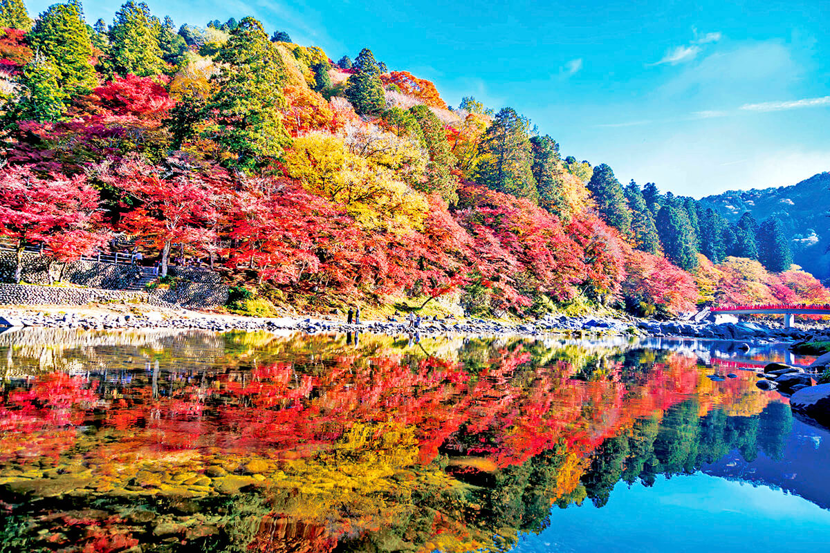 【大自然の中で、誰にも邪魔されない至福のととのいを】, 愛知県豊田市にあるテントサウナの聖地「Sauna Base