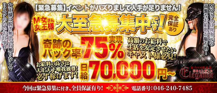 総合ＳМ倶楽部 厚木エレガンス|厚木・SM・M性感の求人情報丨【ももジョブ】で風俗求人・高収入アルバイト探し