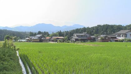 COTE - 料金・客室情報（105）