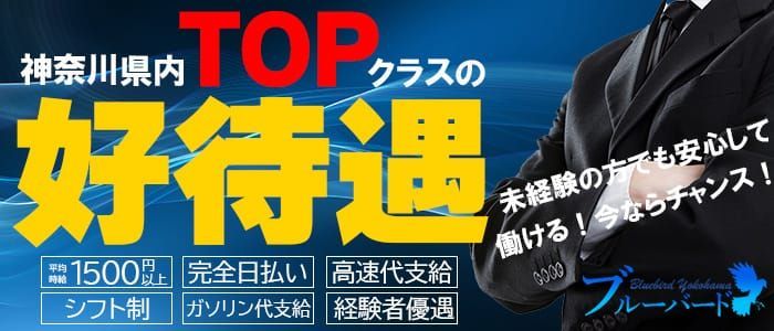 2024年新着】【神奈川県】デリヘルドライバー・風俗送迎ドライバーの男性高収入求人情報 - 野郎WORK（ヤローワーク）