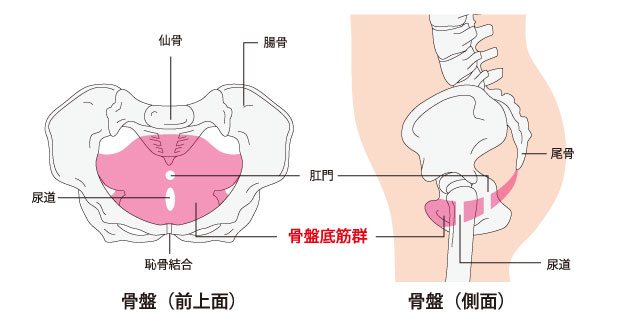 射精障害とは？改善方法と原因を解説｜フィットクリニック渋谷笹塚院