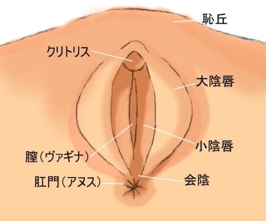 女性はクンニで潮吹きする？潮吹きさせるためのコツ・やり方など｜日本橋の風俗・ホテヘルなら未経験娘在籍店【スパーク日本橋】