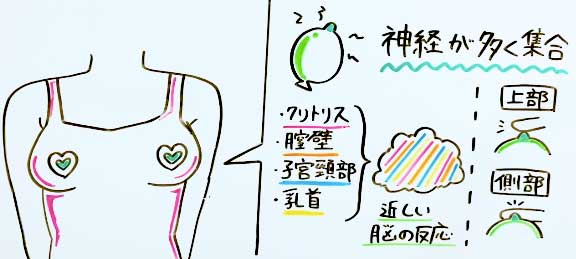 乳首がもっと感じる！気持ちいい触り方 - 夜の保健室