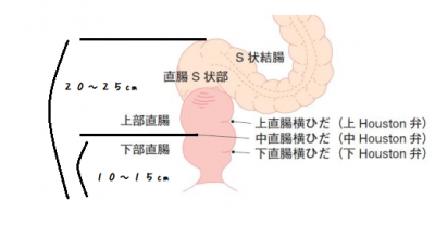 BL同人誌・漫画】 S字結腸 | CP