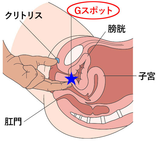 恥ずかしい格好で手マンオナニー！　M字開脚だとクリちゃんが丸見えで気持ちいい…♡　変態/素人/痴女/OL　Japanese