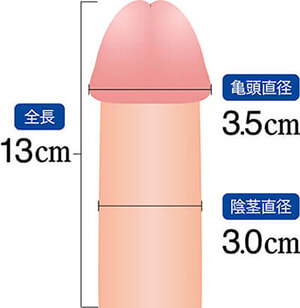 あなたの偏差値は？】日本人のペニス平均サイズと女性にとって気持ち良いサイズとは|個人輸入代行・通販ラククル