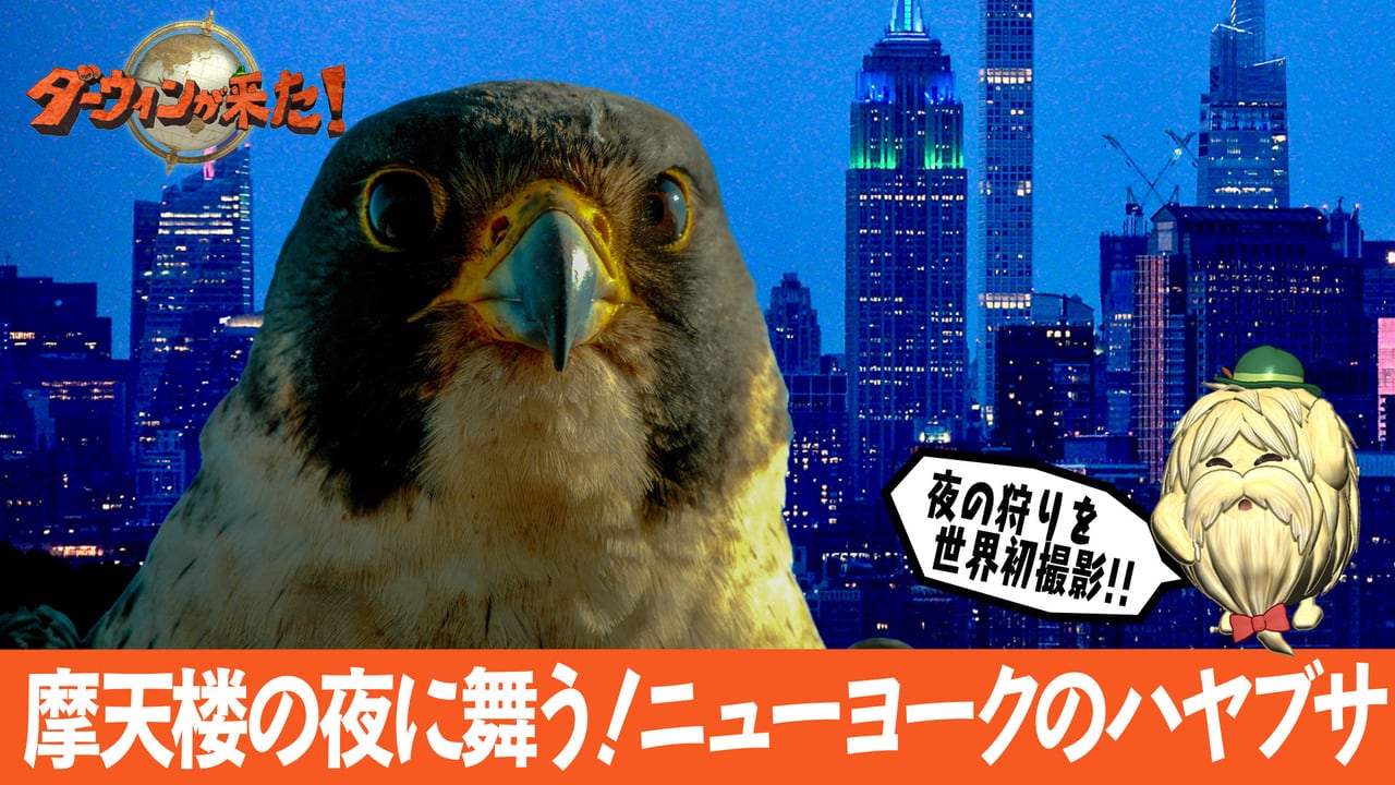 25)摩天楼のはざまの光と影 永瀬正敏が撮ったニューヨーク | 朝日新聞デジタルマガジン＆[and]