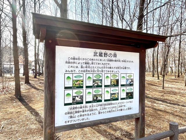 西東京いこいの森公園 スケート広場（にしとうきょういこいのもり すけーとひろば）