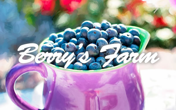 Berry'ｓFarm～ベリーズファーム～(池袋)の店舗・セラピスト情報｜メンズエステ探しならリフガイド