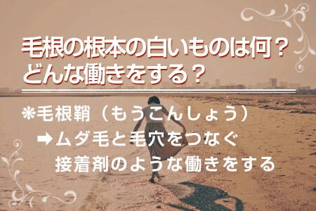 毛抜きで毛を抜き続けると毛根が死んで脱毛効果がある？脱毛の嘘と本当 ｜ エピステ