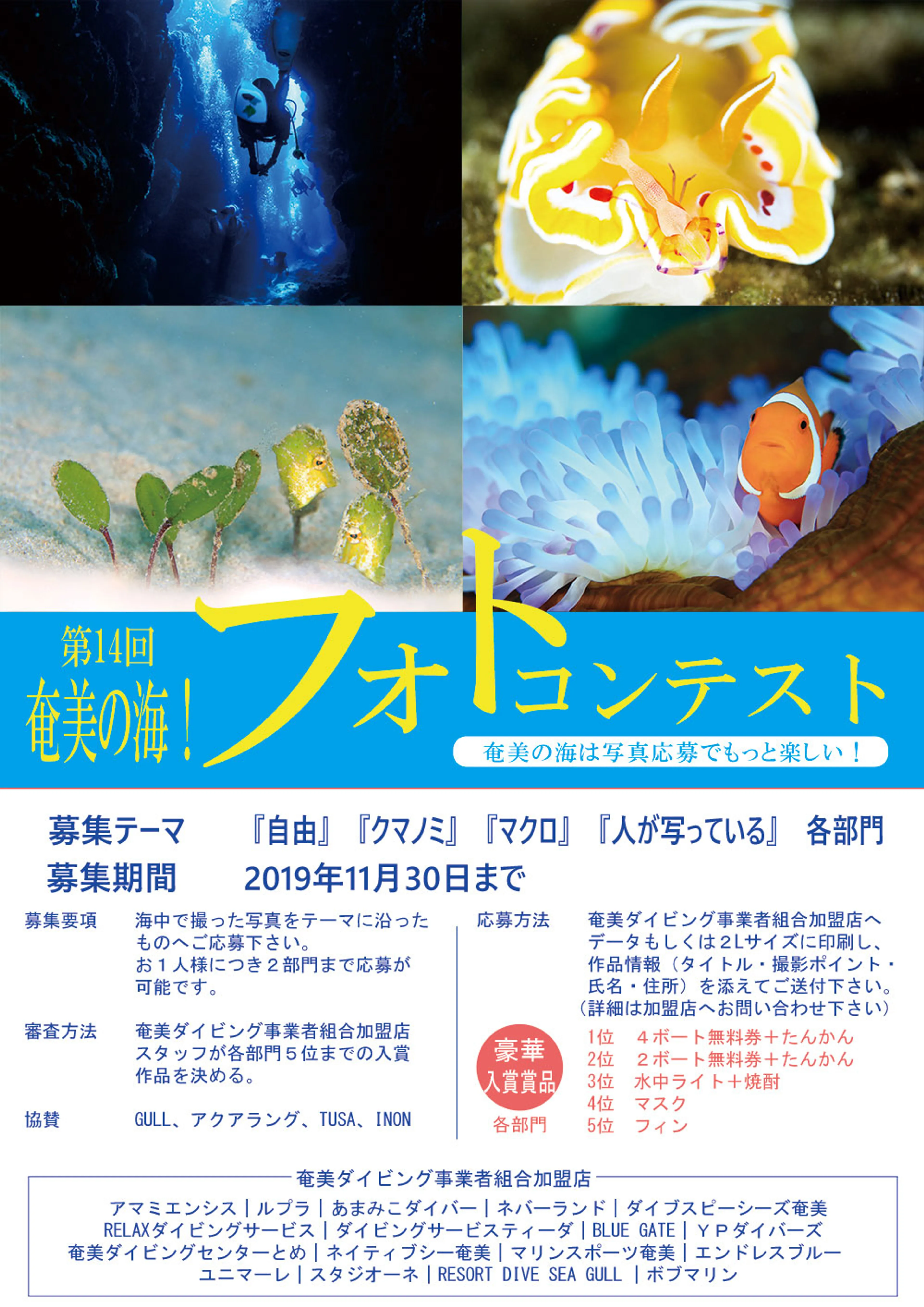 2024年 ボブマリン奄美 - 出発前に知っておくべきことすべて