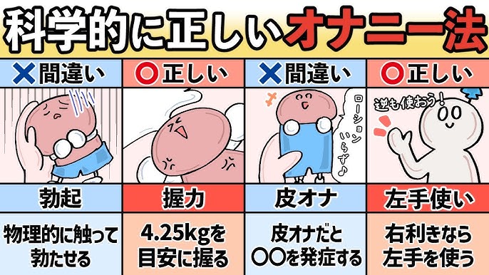 男性のオナニーの正しい仕方が知りたい | セイシル