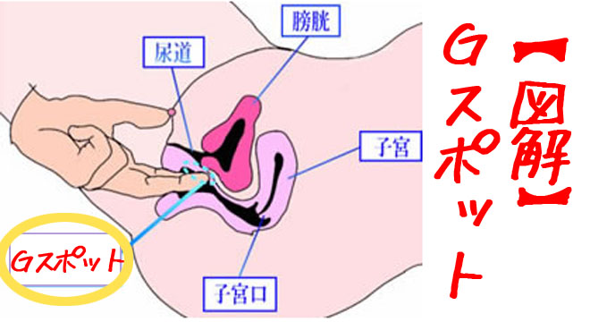 Gスポットが感じない！不感症を改善するためのとっておきの治療法って？