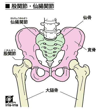 婦人科形成｜クリニーク大阪心斎橋