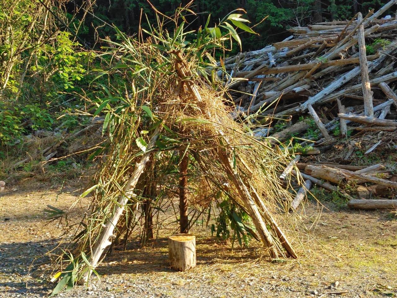 森の秘密基地 いもほり | いもほり |