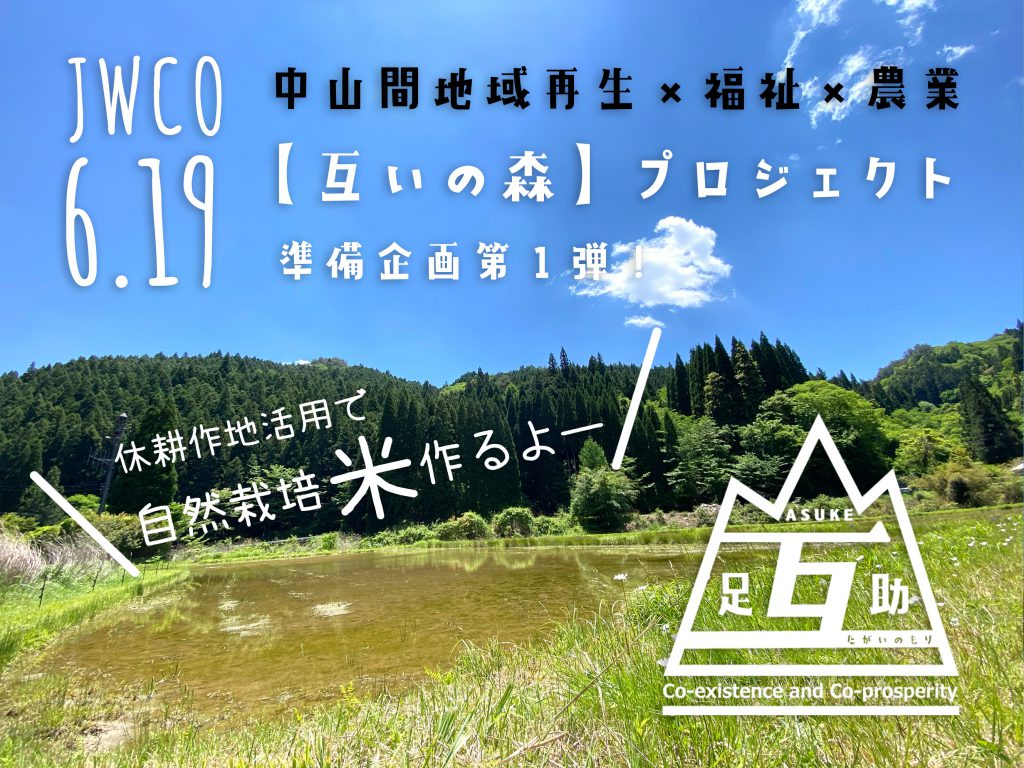 豊田市民芸の森：森のアート展成功までの道のり2 | あなたも わたしも アーティスト