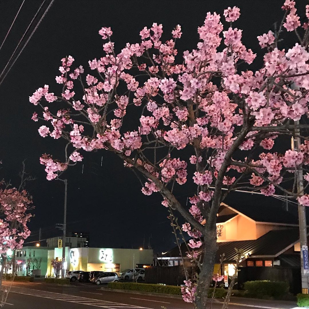 ニューハーフ 性器 みよし市