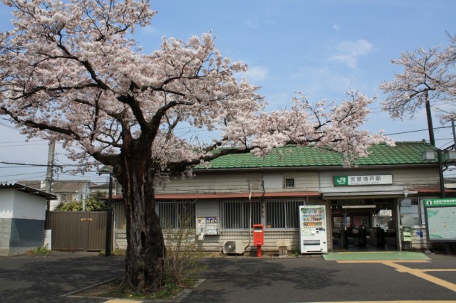 多摩産材の裾野 春の武蔵増戸駅 -