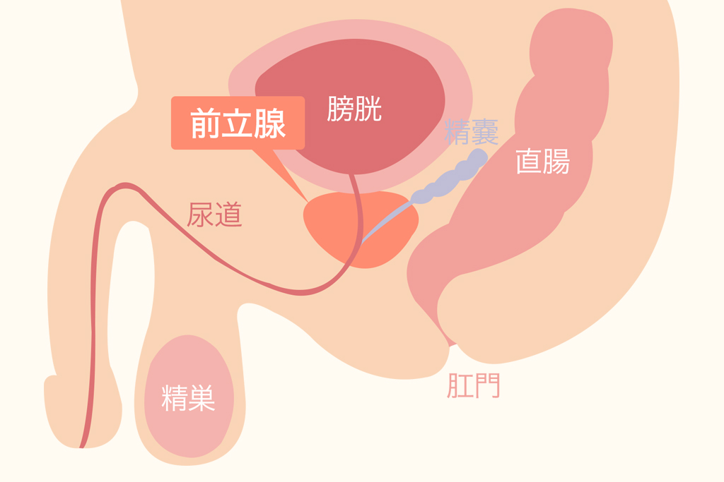 絶対にハマる！男のオナニー方法おすすめランキングTOP10 | 風俗部