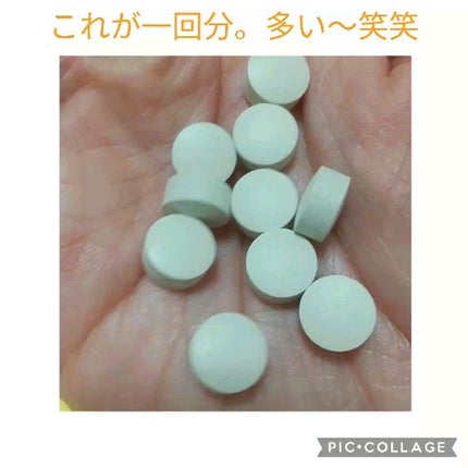 筋肉は裏切らない。だから、筋肉を裏切らない胃腸作りを｜谷本道哉×井戸皓大 対談