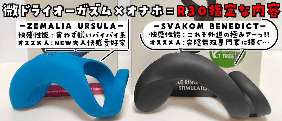 最短最速でドライオーガ二ズムを実現できる最強の道具エネマグラとは | エネマグラ（ENEMAGRA）公式サイト