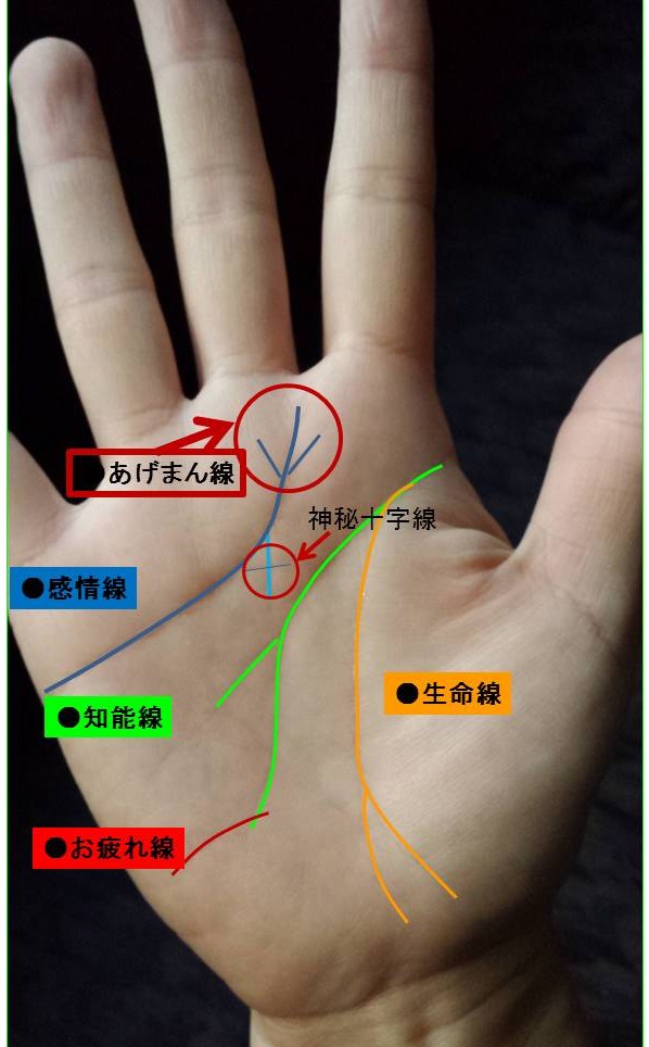 占い師解説】ラッキーM線(手相)の意味とは？ – バランガンメディア