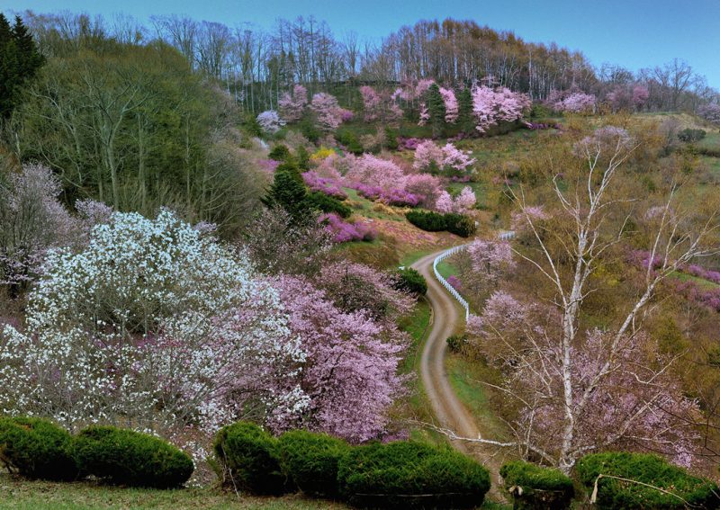 Photos at 北見フラワーパラダイス - Park