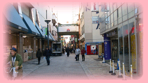 写真 : 山芋の多い料理店