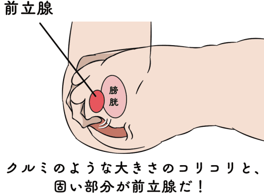 元AV男優が解説】アナルオナニーのやり方を伝授！初心者でも痛くない快感の扉の開き方！ | Trip-Partner[トリップパートナー]