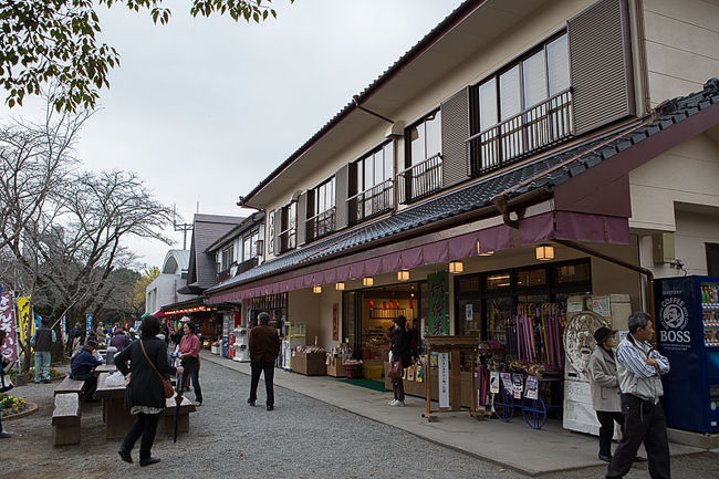 壇蜜を裏切り再び鹿児島へ③(鹿児島編)』鹿児島市(鹿児島県)の旅行記・ブログ by くわさん【フォートラベル】