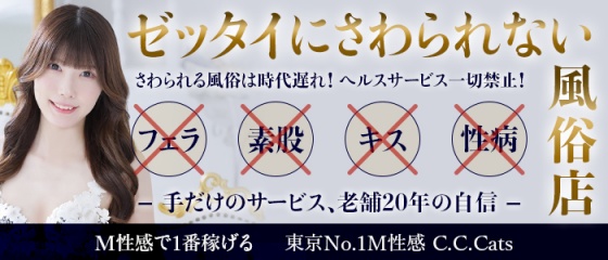 香取市・佐原で人気・おすすめのデリヘルをご紹介！