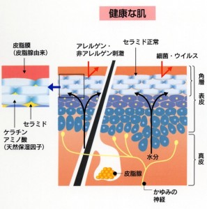 あかすりの効果って？デメリットや注意点は？｜ニフティ温泉