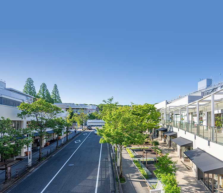 星ヶ丘駅 70㎡～80㎡ 分譲マンション 高級賃貸一覧｜リミテッド名古屋