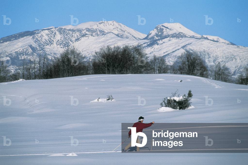 Snowshoe and cross country ski