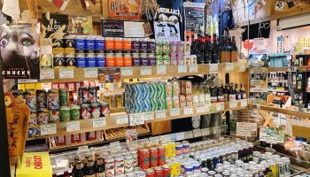 街歩き】静岡県掛川で城登ったり、本屋行ったり、お茶入りビール飲んだりした話 – fish