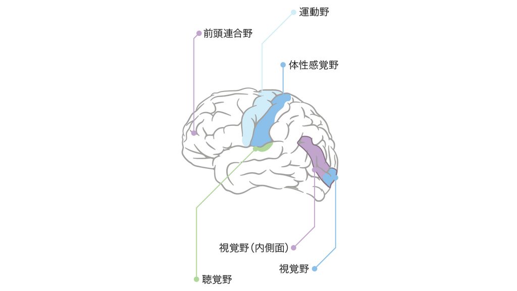 寝取られ越えて脳破壊 西〇寺春菜【SpinBox】 -