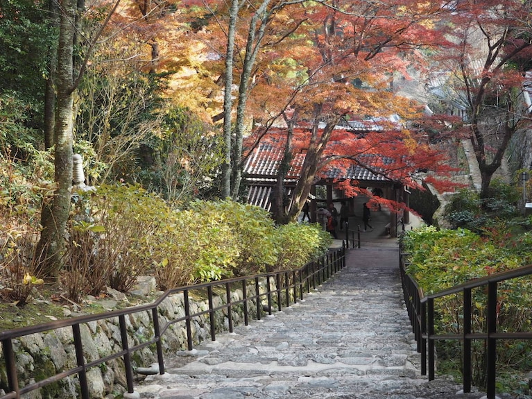 ホテルハグハグ香芝店 - アダルト オンリー