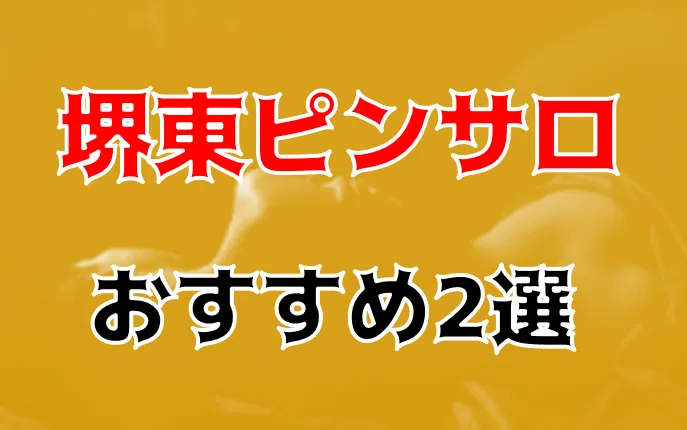 堺東のおすすめピンサロ2店を全24店舗から厳選！ | Trip-Partner[トリップパートナー]