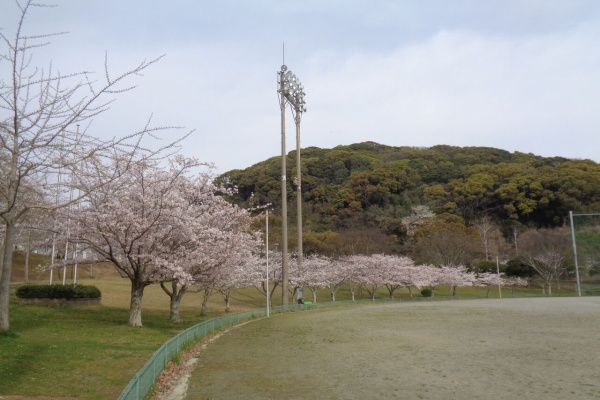 交通事故に遭ったら？ | 福岡市 堺整骨院グループ