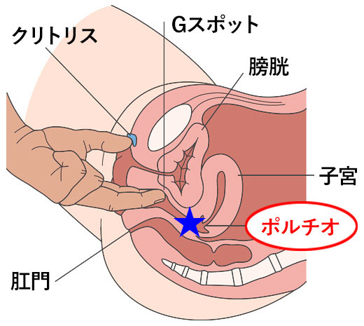 女医の職権乱用vol.07】淫乱OLが手マンで中イキ：佐伯果歩【再診編】 - Pcolleレビュー始めました。(毎日更新)  ～HONEYsPOTも始めました～