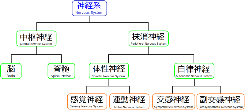 ヒーリングって何？効果やセルフヒーリング方法も解説｜ニフティ温泉