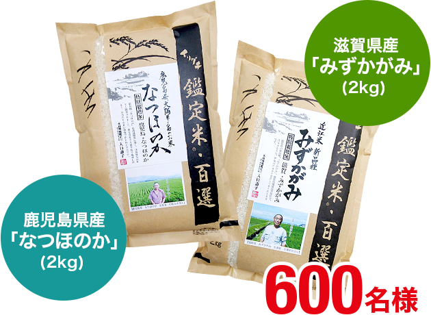 ふるさと納税】〈数量限定〉鹿児島県産なつほのか白米(計10kg・5kg×2袋)