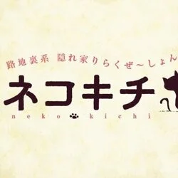 2024最新】新潟 アリュールの口コミ体験談を紹介 | メンズエステ人気ランキング【ウルフマンエステ】