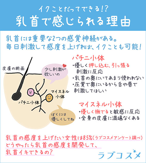 オナニストの解説】チクニーに使える道具を一挙紹介！日常的な物までオナニーグッズに！ | Trip-Partner[トリップパートナー]