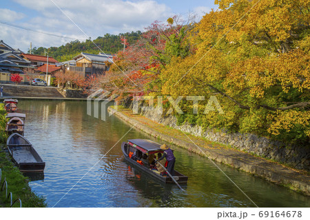 滋賀県近江八幡市 八丁堀の紅葉の写真素材 [69164683] - PIXTA