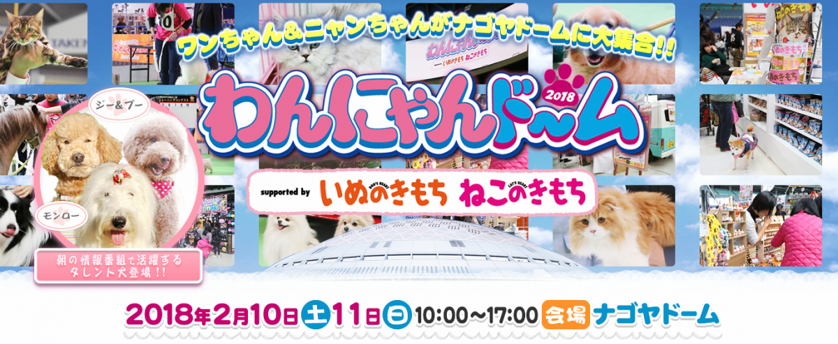 MOCHAにゃんず全国総選挙2024 結果発表！ | お知らせ/メディア掲載情報