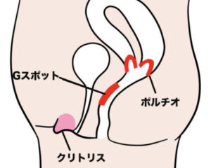 女のあそこ、まんこを徹底図解！どこが気持ちいいスポット？ | Trip-Partner[トリップパートナー]